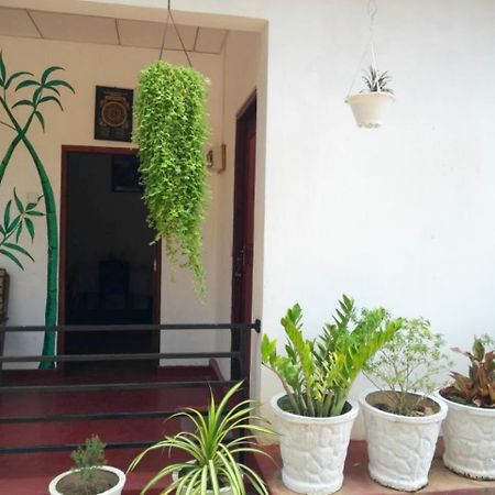 Pawansa Home Stay Хабарана Экстерьер фото
