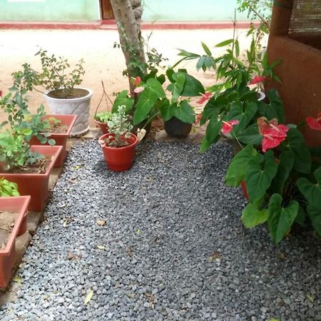 Pawansa Home Stay Хабарана Экстерьер фото