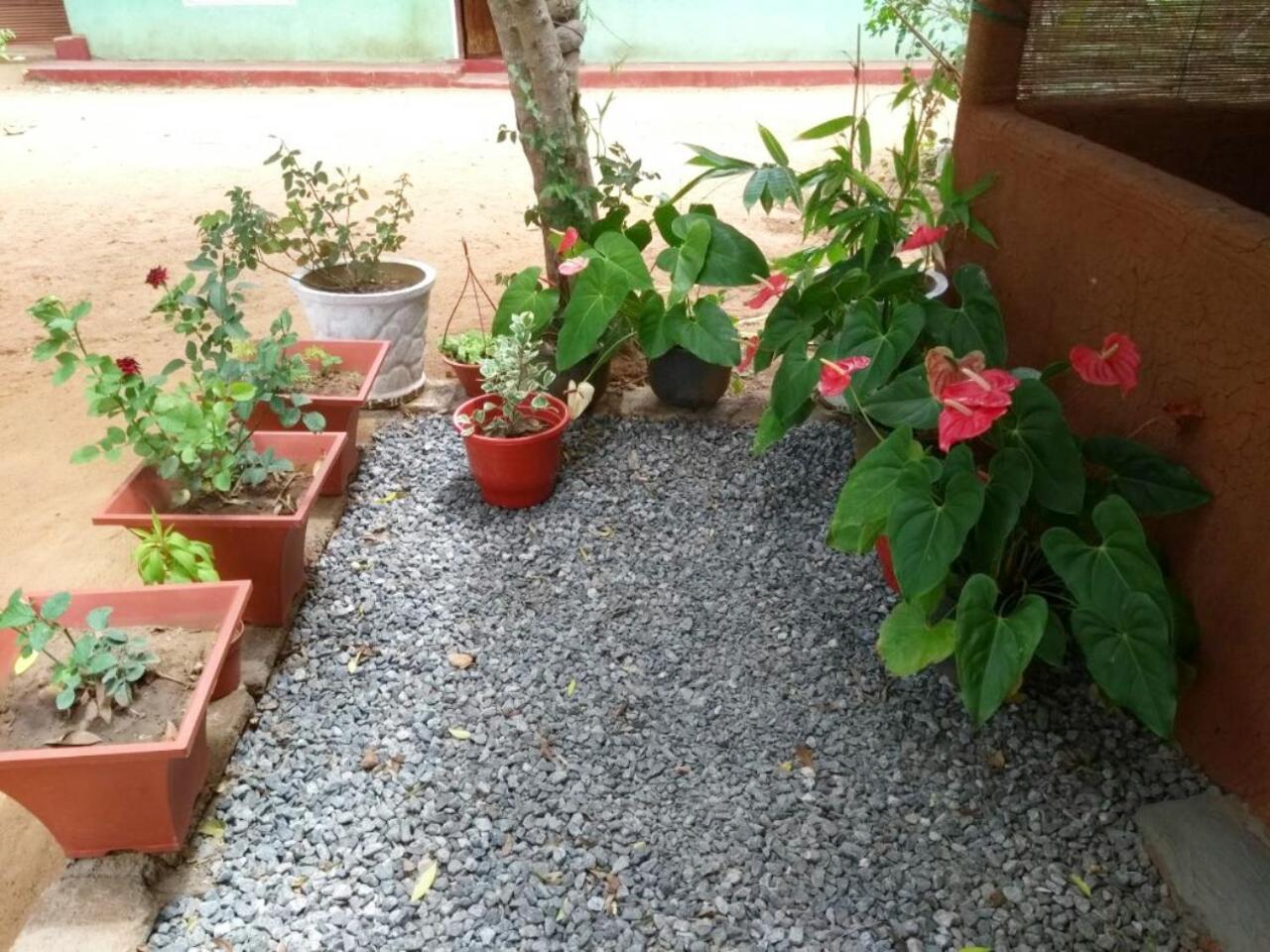 Pawansa Home Stay Хабарана Экстерьер фото