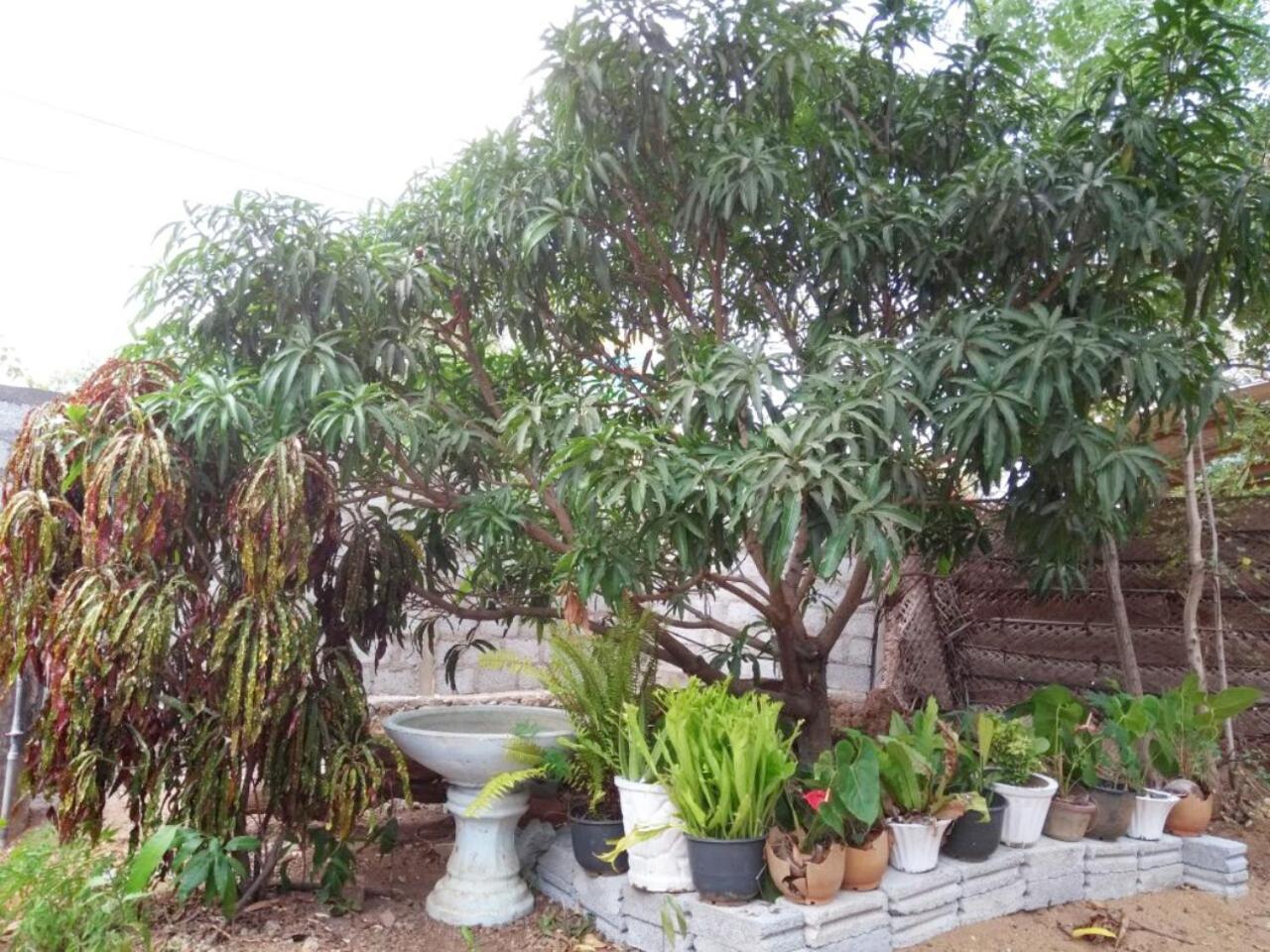Pawansa Home Stay Хабарана Экстерьер фото